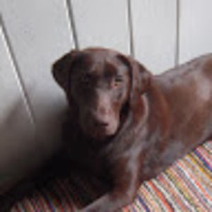 Meet your Posher, Jaime